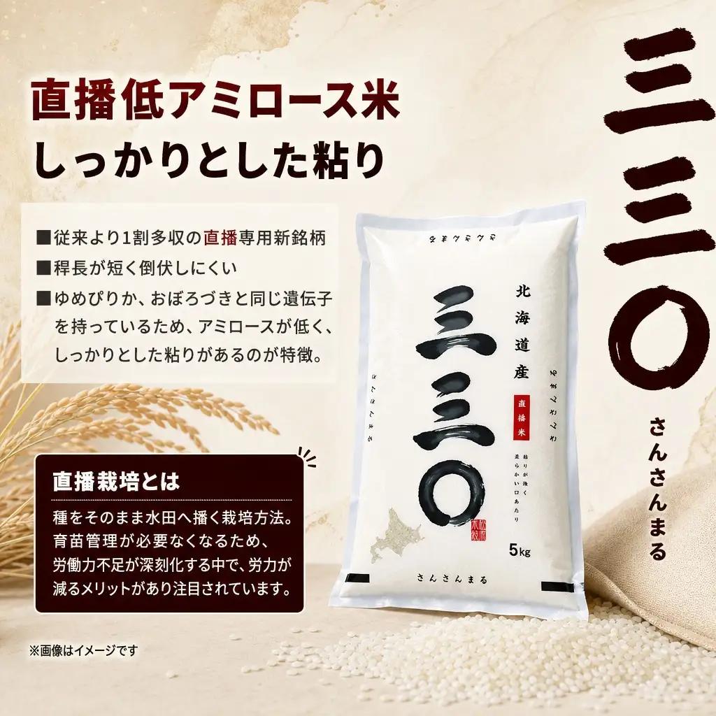 【先行予約】【6回定期便/固定月】 令和8年産 北海道 さんさんまる 精米 5kg | 2026年11月以降順次発送 | 白米 お米 米 北海道産 コメ | 株式会社松原米穀