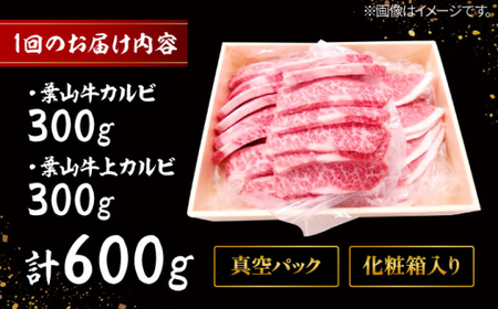 【全12回定期便】 葉山牛 焼肉用上カルビ300g焼肉用カルビ300g／ 牛肉 葉山牛 和牛 焼肉 カルビ 上カルビ【有限会社葉山旭屋牛肉店】[ASAP052]
