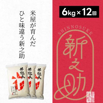 ふるさと納税 阿賀野市 【令和7年産】【12ヶ月定期便】米杜氏 阿賀野市産 新之助 6kg (2kg×3袋)×12回