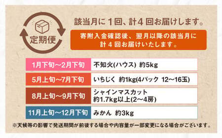 【年4回定期便】熊本の果樹園より産地直送！くまもとのイチオシフルーツ定期便 不知火 いちじく シャインマスカット みかん くだもの 果物 フルーツ しらぬい 柑橘 蜜柑 葡萄 ぶどう イチジク 熊本県