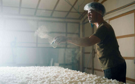 理八 The RIHACHI 純米大吟醸 酵母901号 720ml(化粧箱入り) 日本酒 酒 お土産 家飲み プレゼント フルーティー 地酒 島根県雲南市/株式会社田部竹下酒造[AIBE007]