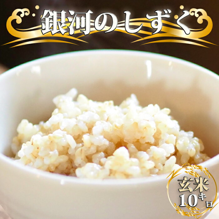 【ふるさと納税】 新米 令和7年度産 銀河のしずく 玄米 10kg ／ 国産 岩手県産 雫石町産 米 こめ お米 ライス コメ ご飯 ごはん 健康 ヘルシー 産地直送 農家直送 数量限定 おすすめ 10 キロ 10 kg 【晴山農園】