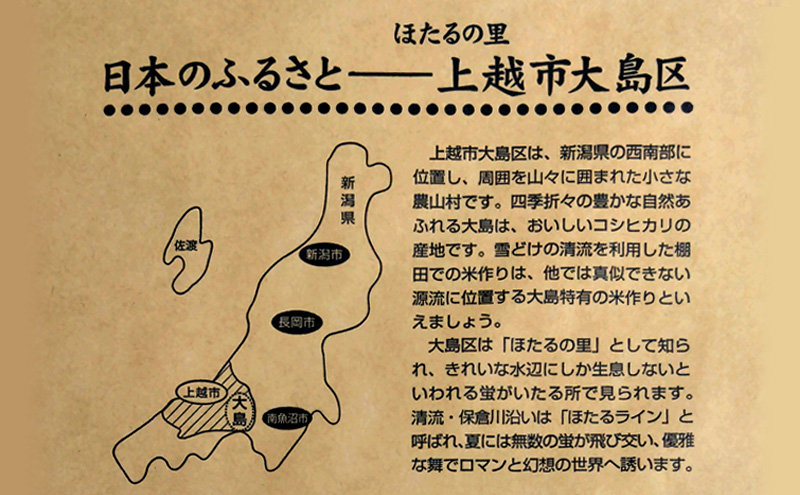 【ふるさと納税】新米 令和7年産 5kg 5キロ 新潟県 上越市産 コシヒカリ おおしま育ち 精米 お米 お取り寄せ 11月上旬より出荷開始