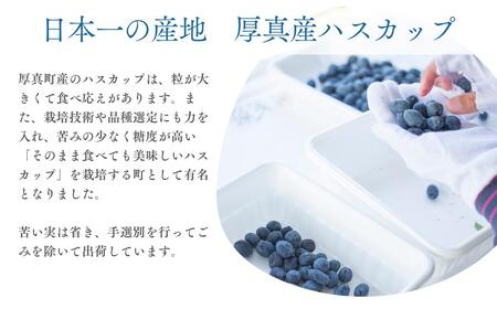【9月以降順次発送】北海道厚真町産 冷凍ハスカップ 3種食べ比べセット 計1kg　　ハスカップ ハスカップ 特産品 特産品 R7年産 北海道 [AXAB051]