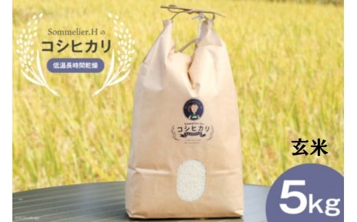 【令和6年産】減農薬 上市町湯神子産コシヒカリ（玄米）5kg　 [ソムリエH 富山県 上市町 32280232-r6-01] 　お米 コメ ご飯 ごはん 玄米ご飯 玄米ごはん こしひかり