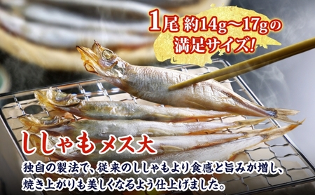 北海道産 ししゃもメス 大60尾(30尾×2箱) 北海道 稀少 魚 シシャモ メス おつまみ 魚貝類 海鮮 干物 本物 人気 希少 塩 味付け 脂のり 旨み 美味しい 大きい グルメ 惣菜 酒の肴 国