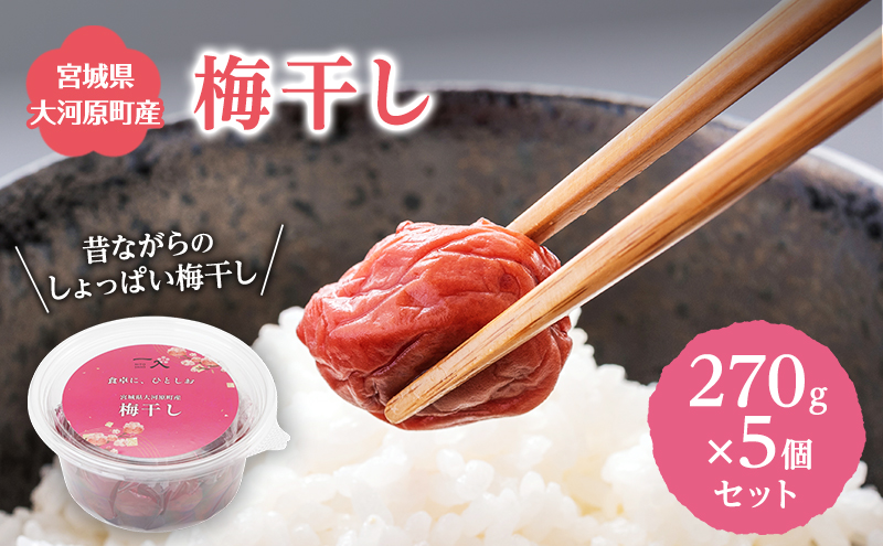 大河原産 昔ながらのすっぱいしそ梅干し 270g 5個セット ご飯のお供に 梅干し 梅干 うめぼし ウメボシ 梅 ごはんのお供 ご飯のお供 おにぎり 弁当 お弁当
