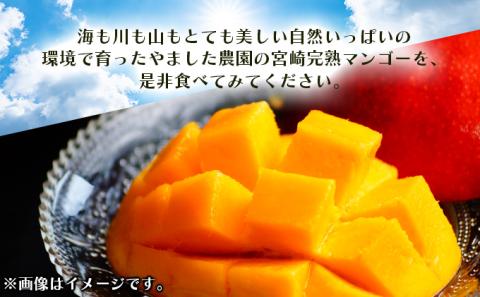 KU325 訳あり 宮崎完熟マンゴー(約2kg・大小混合3～5個) 【やました農園】