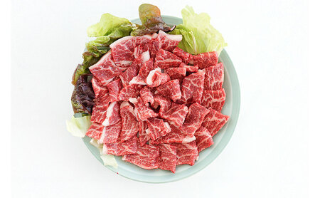 淡路ビーフ 焼肉用 500g 250g × 2p 肉 お肉 牛肉 焼肉 BBQ 兵庫県 洲本市 淡路島