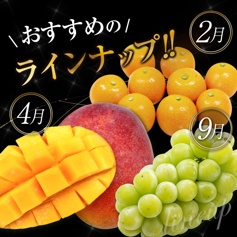 旬のフルーツ定期便 12か月コース【F113-24】_イメージ4