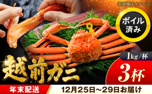 越前がに 【先行予約/12月25日より順次発送】【年末希望】 越前がに 1kg×3杯 ズワイガニ ずわいがに ボイル 冷蔵 小浜市 / まるほ商店 【配送不可地域：北海道・沖縄・離島】[BFCS047]