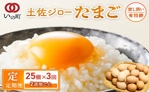 【定期便】土佐ジローたまご（1箱25個入）×3回　約2週間毎に1回