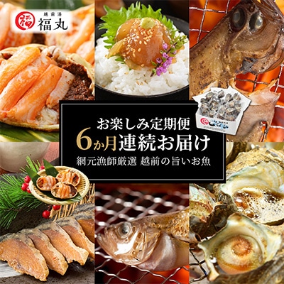 2023年4月発送開始『定期便』≪6ヵ月連続お届け≫漁師厳選!越前の旨いお魚お楽しみ定期便全6回【配送不可地域：離島】【5079174】