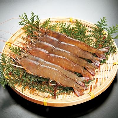 ふるさと納税 豊前市 幻のヨシエビ(計800g)