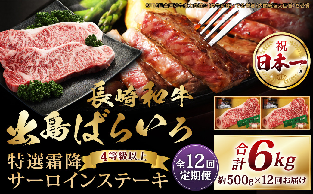 【全12回定期便】長崎和牛「出島ばらいろ」特選霜降 サーロインステーキたっぷり500g 