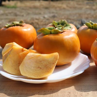 ふるさと納税 紀の川市 【産地直送】和歌山県産 柿 2.5kg 11玉〜12玉 |  | 02