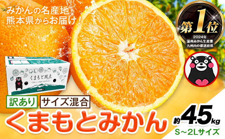 みかん 訳あり くまもとみかん 約4.5kg S-2Lサイズ サイズ混合 ご家庭用《7-14日以内に出荷予定(土日祝除く)》 訳あり みかん フルーツ サイズ混合 秋 旬 柑橘 熊本県 長洲町 熊本県産 長洲町産含む