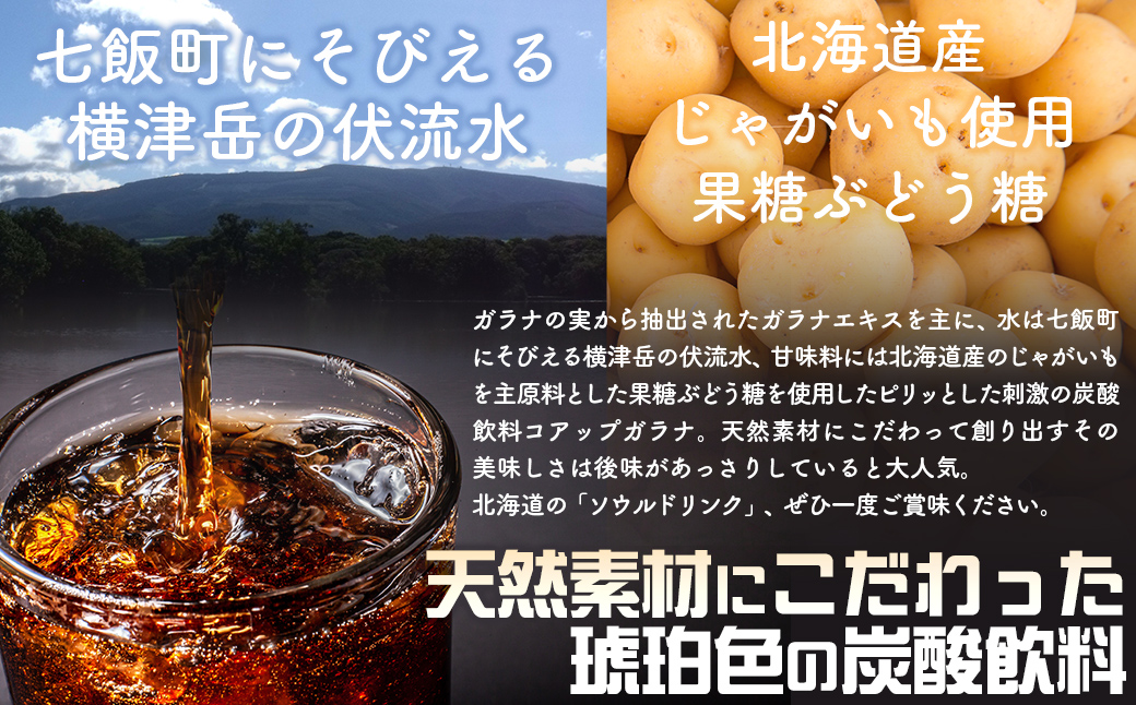 コアップガラナ24本セット（230ml瓶） NAQ004