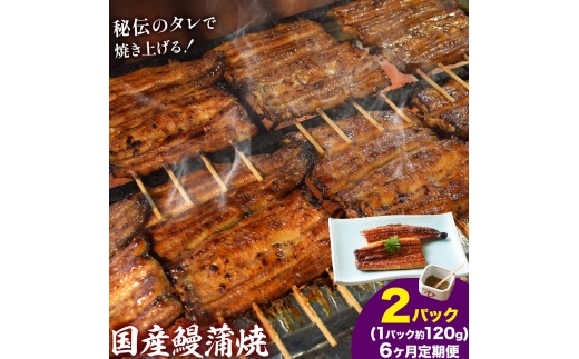 【6ヶ月定期便】鰻 国産鰻蒲焼 2パック 約 120g ×2 有限会社安井家《申込月の翌月より出荷》千葉県 我孫子市  鰻 うなぎ 蒲焼 丑の日 蒲焼き 冷蔵 タレ 山椒【配送不可地域あり】(離島)