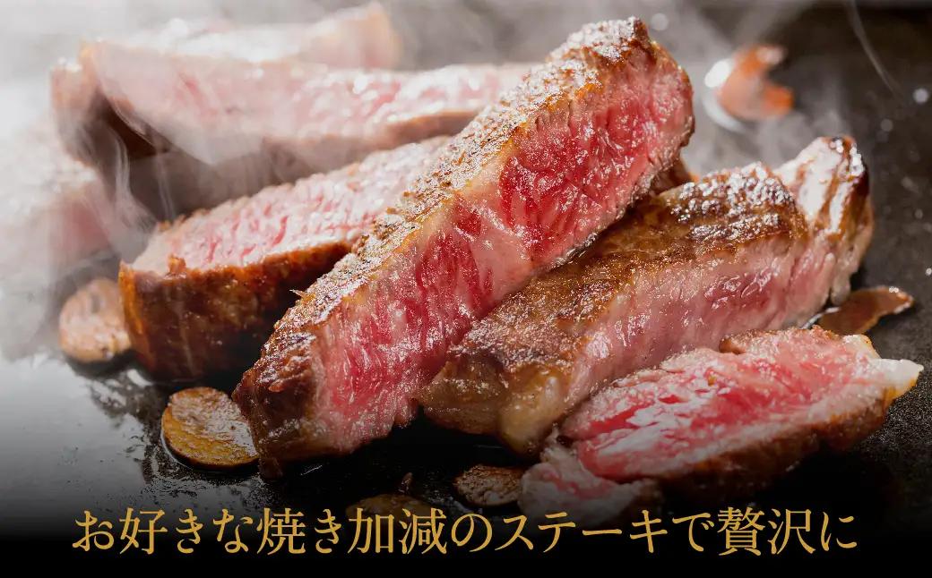 神戸牛 ロースステーキ500g（250g×2枚）TYST5
