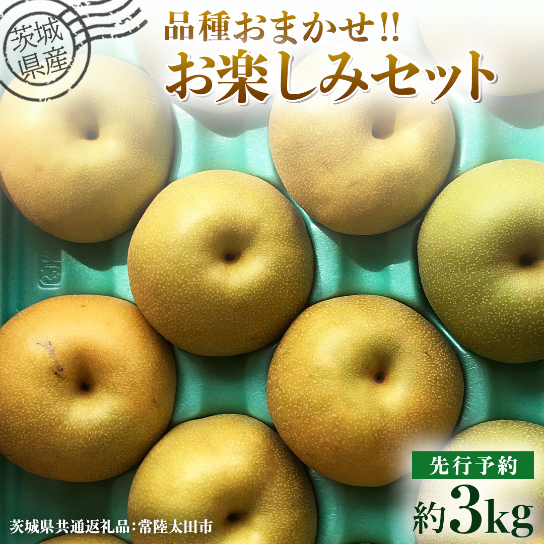 【 先行予約 】茨城県産 梨 品種おまかせお楽しみセット 約3kg 6玉～10玉 ( 茨城県共通返礼品 : 常陸太田市 )【 2026年 9月上旬頃より発送 】  フルーツ 果物 国産 日本産 梨 ナシ なし 和梨 期間限定 数量限定