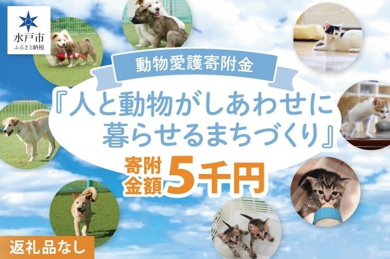 
            【返礼品なし】水戸市 動物愛護寄附金 Animal Welfare Donations『人と動物がしあわせに暮らせるまちづくり Creating a city where people and animals can live happily together』5000円【動物愛護 愛護活動 保護 犬 猫 いぬ ねこ  動物 ペット 応援 支援 水戸市どうぶつ愛護センター 茨城県】(LW-8)
          