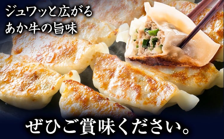 くまもと あか牛 100％ 餃子 20個入り×3(計60個) 牛肉