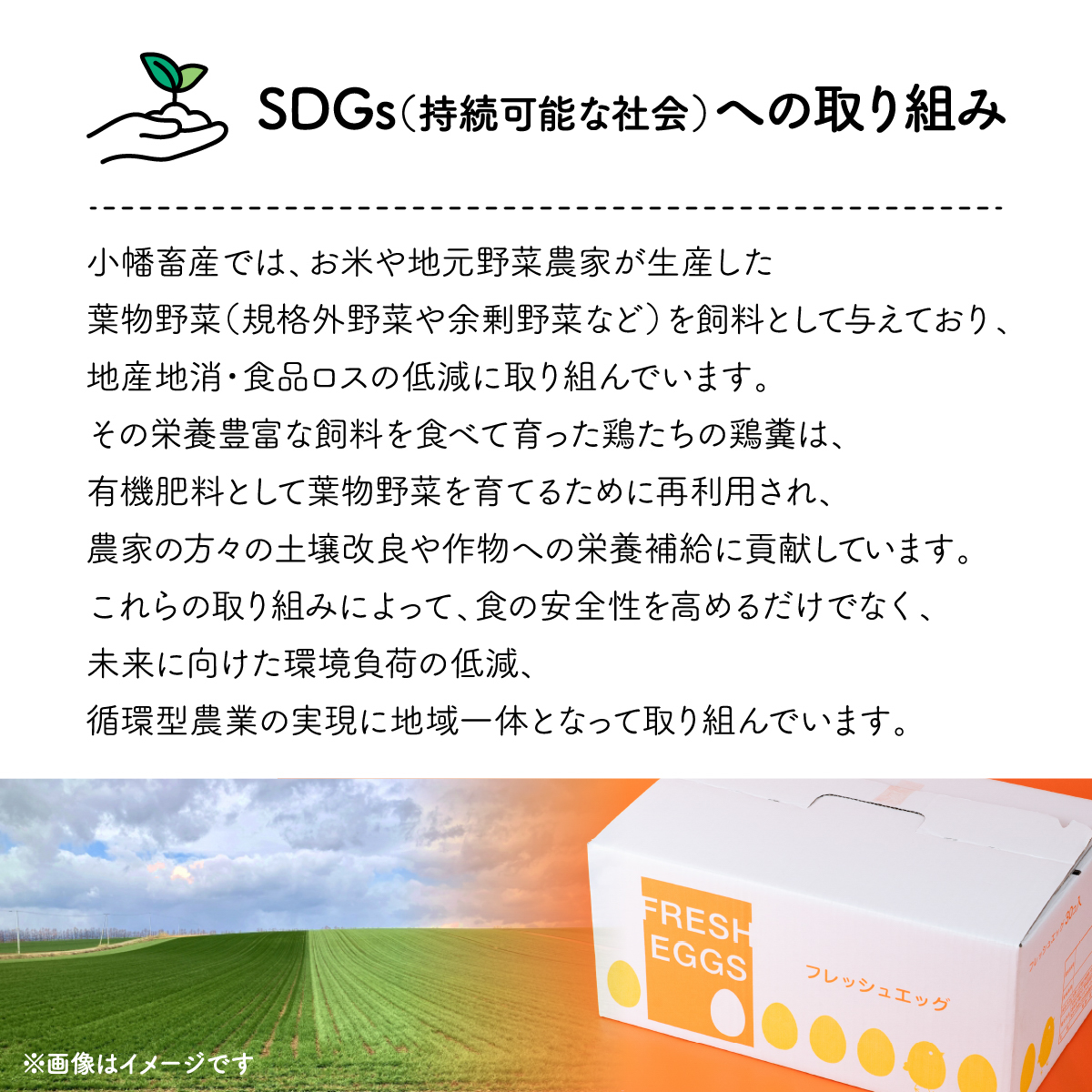 714 平飼い やさしい ひたち野 穂の香 卵 30個 12ヶ月 定期便【小幡畜産】