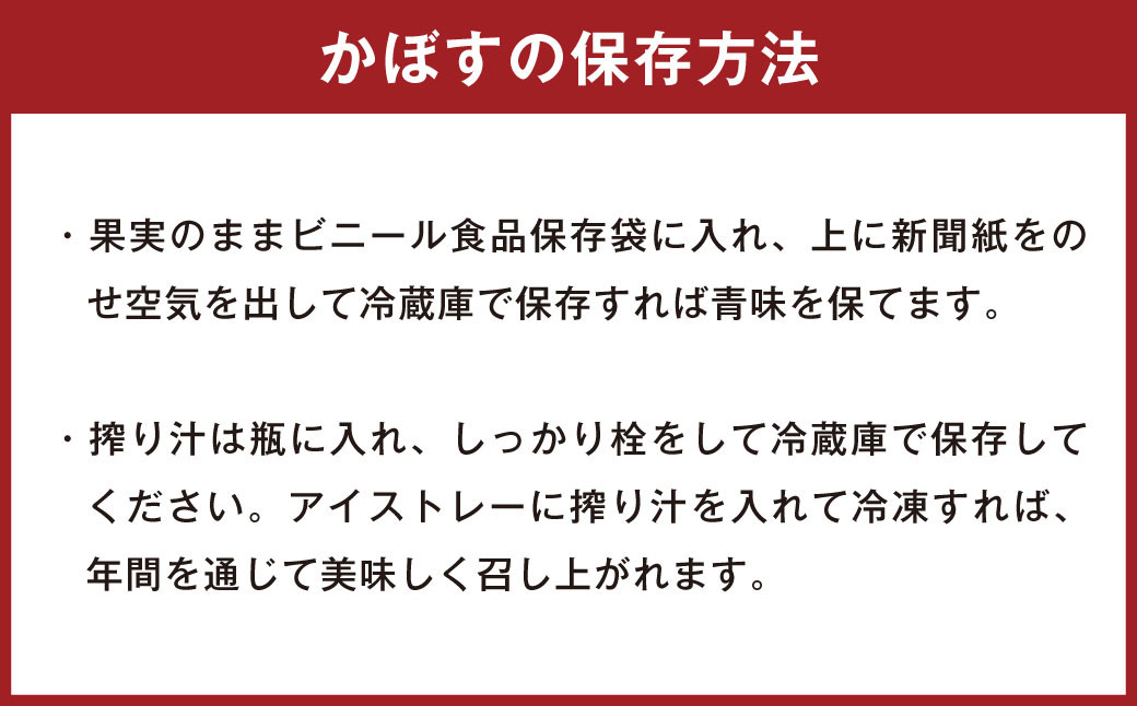 178-1249 大分 1号（種あり） 1.5kg （約12～15玉） カボス 青果