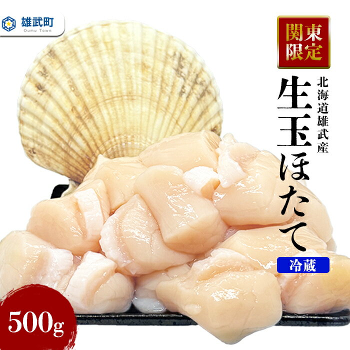 【ふるさと納税】【関東限定！】北海道雄武町産　生玉ほたて500g塩水パック（冷蔵）｜関東限定 生玉ホタテ 生ホタテ　大粒 ホタテ 帆立 ほたて 新鮮 500g 生 冷蔵 塩水パック オホーツク 北海道 雄武町 雄武 刺身 魚貝 魚介 海鮮【0712502】