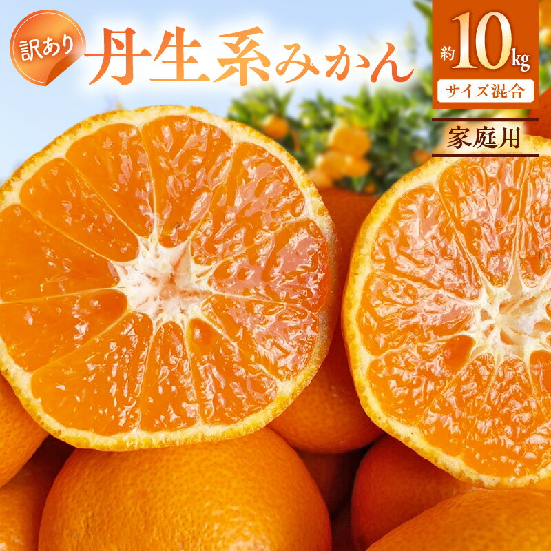【ふるさと納税】【2026年先行受付】 【高糖系】 越冬本貯蔵 丹生系 (にゅうけい) みかん 家庭用 訳あり 混合サイズ 約10kg 【有田みかん 柑橘 和歌山 蔵出し 貯蔵みかん】