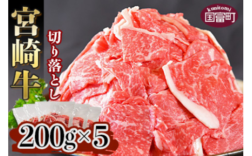 
＜宮崎牛 切り落とし 合計1kg（200g×5）＞翌月末迄に順次出荷
