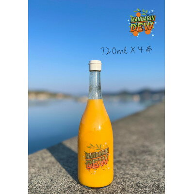 【ふるさと納税】100%ストレートみかんジュース「MANDARIN DEW」720ml×4本【H89-2】【1607183】