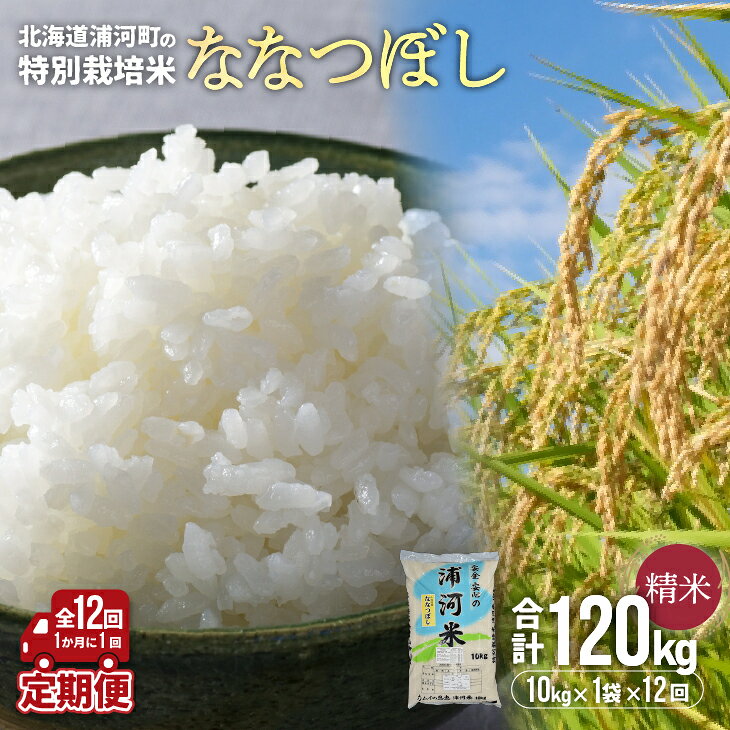 【ふるさと納税】北海道浦河町の特別栽培米「ななつぼし」精米(10kg×1袋)定期便(全12回)[37-1220] 北海道 浦河 ふるさと納税 特別栽培米 ななつぼし 令和8年度 米 精米 定期便 全12回 送料無料