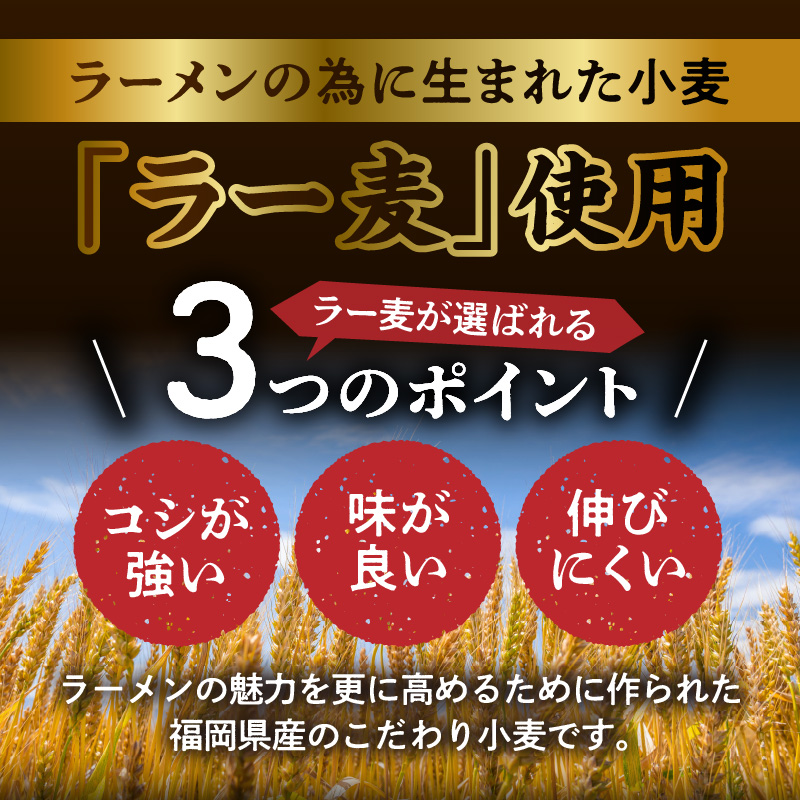 福岡県産ラー麦使用 コク旨 味噌ラーメン（生めん）15食セット PC5206