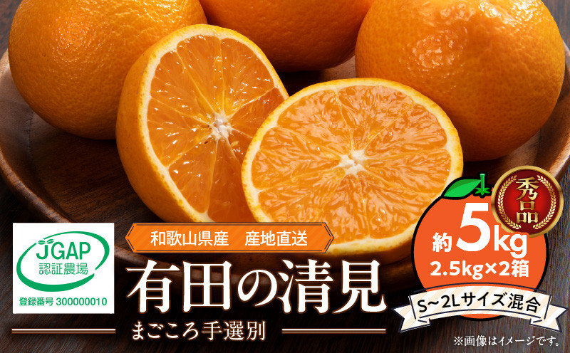 
                  和歌山県産 有田の 清見 5kg (2.5kg×2箱) (S～2Lサイズ混合)（まごころ手選別）_ZE6120n
                