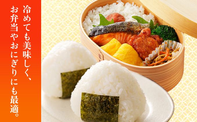 【6ヶ月定期便】令和7年産 福岡県産米100％使用！大木町 ゆめおおき 5kg ※北海道・沖縄・離島は配送不可 CY005sub6