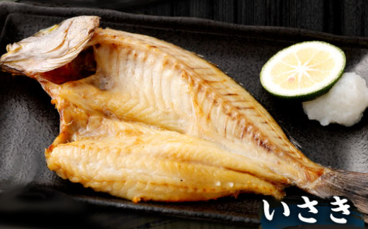 【訳あり】地魚干物セット 約1.5kg お楽しみ 干物 おかず おつまみ 魚 魚介類 惣菜 傷あり ご家庭用 冷凍 10000円 1万円 送料無料