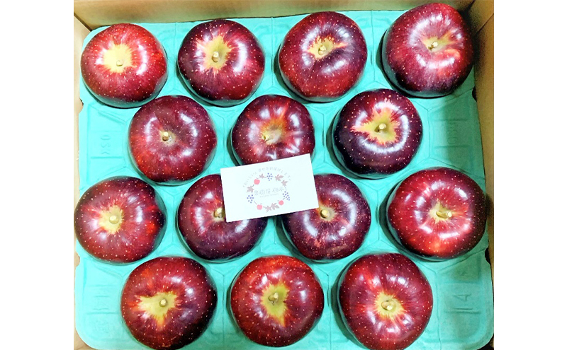 【2026年先行予約】 りんご 秋映 約5kg 林檎 リンゴ 5kg 果物 くだもの フルーツ デザート 旬の果物 旬のフルーツ 長野県 長野