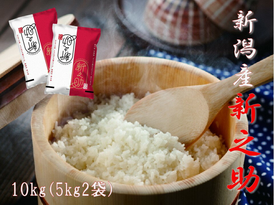 【ふるさと納税】【令和7年産新米】 農家直送 新潟県阿賀野市産 新之助 10kg (5kg×2袋) 精米 白米 しんのすけ 新潟産 ブランド米 大粒 香り ツヤ