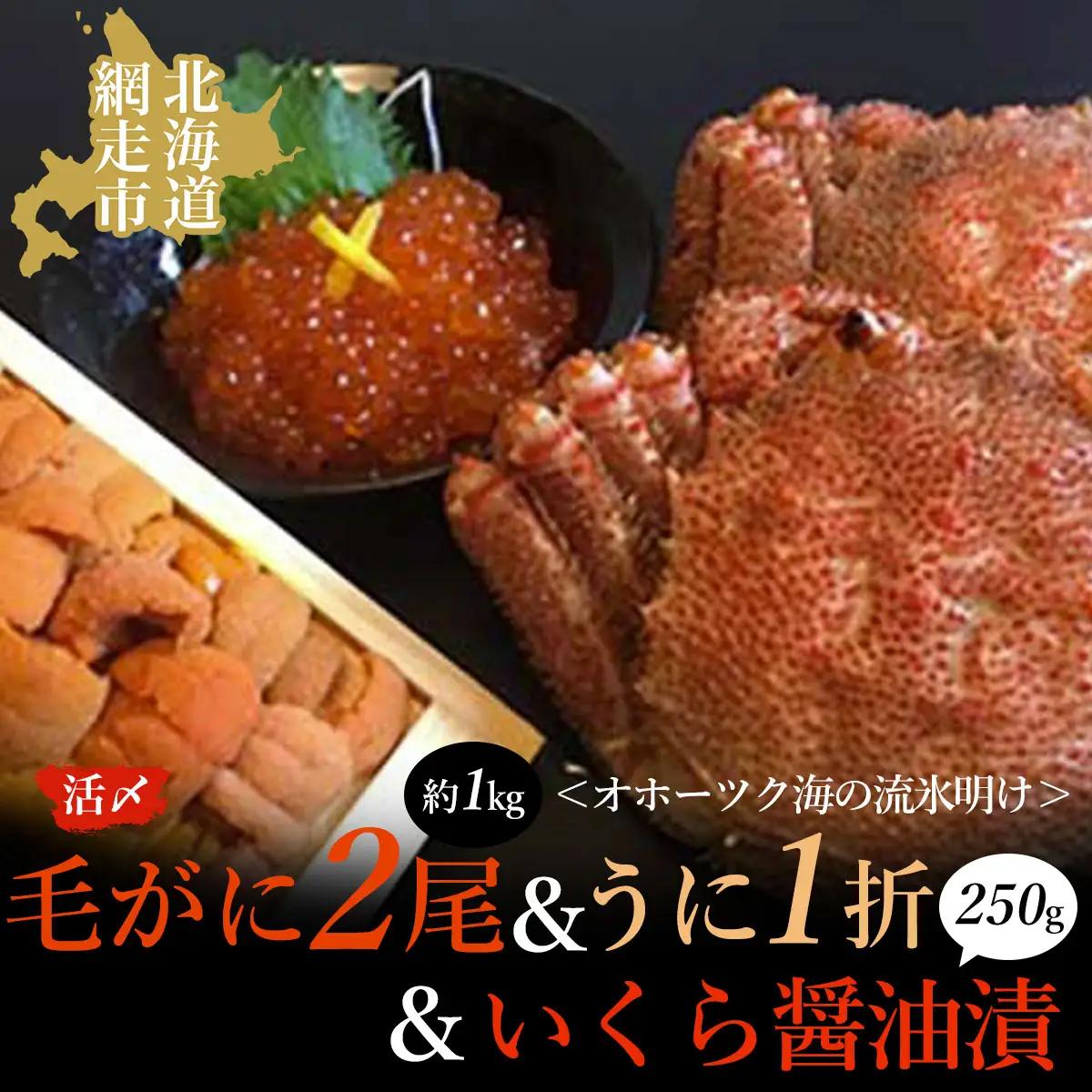 うに 北海道 海産物 ＜オホーツク海の流氷明け＞活〆毛がに2尾（合計約1kg）＆いくら醤油漬（250g）＆うに（1折　50g）セット（網走加工） ABAO029