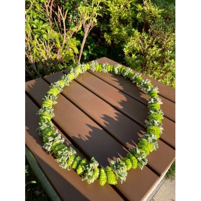 ふるさと納税 ふじみ野市 ハワイアンレイ生花(スプレーマムKuiスタイル1) |  | 01