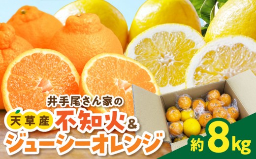 
                  S086-009_【数量限定】井手尾さん家が丹精込めた天草の不知火とジューシーオレンジ 計約8kg
                