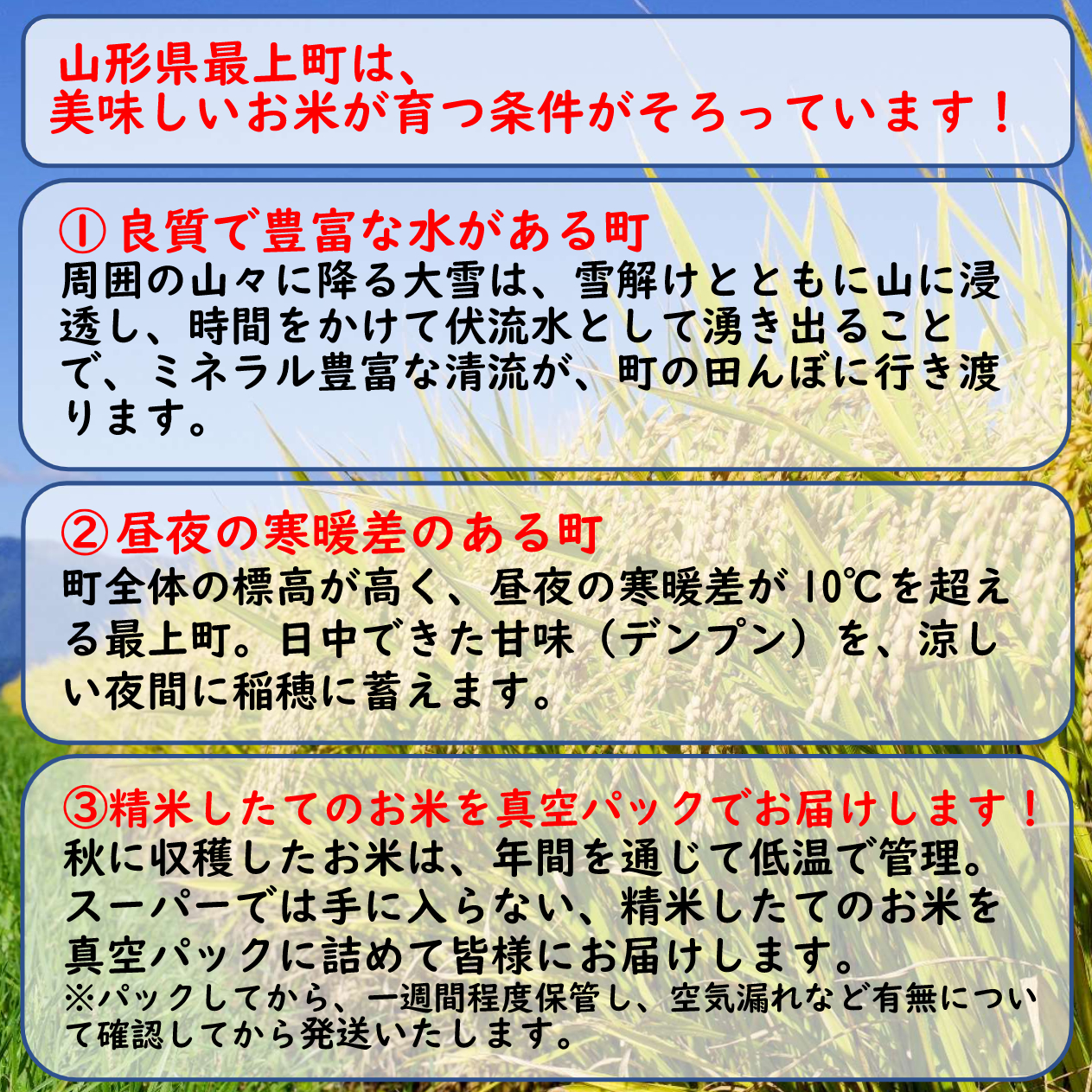 【令和7年産】山形県産 はえぬき 10kg (5kg×2袋)
