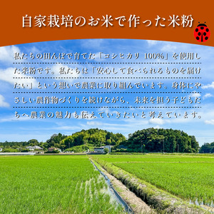 米粉 1kg（ 500g × 2袋 ） 自家製 米粉