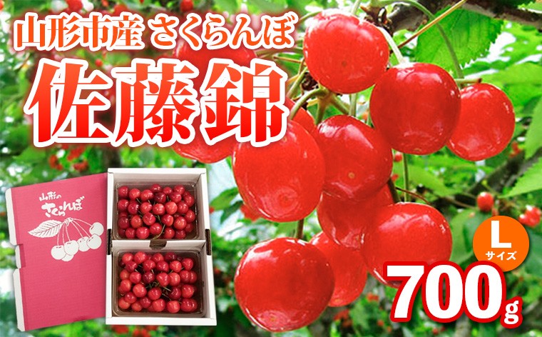 
            山形市産さくらんぼ【佐藤錦】Lサイズ 700g バラ詰め【令和8年産先行予約】FS25-036
          