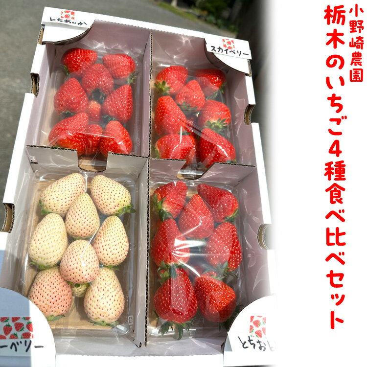 【ふるさと納税】【先行受付】いちご王国栃木 いちご4種食べ比べセット (とちあいか とちおとめ スカイベリー ミルキーベリー各280g 4パック入り1箱) ｜果物 栃木県産 小野崎農園 数量限定 期間限定※2026年1月上旬～3月下旬頃に順次発送予定