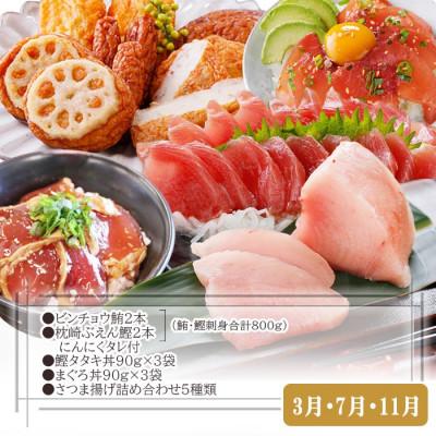 ふるさと納税 枕崎市 定期便(2回配送)一本釣りかつお・まぐろ三昧　(さつまあげも) DD-6005 |  | 02