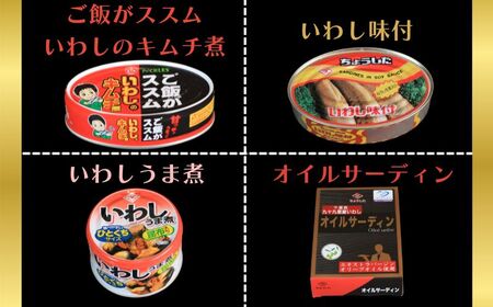 訳あり 缶詰 7種 イワシ尽くし セレクトセット(14缶） 缶詰 いわし 詰め合わせ おすすめ セレクト 人気 栄養 炊き込みご飯 パスタ おつまみ 美味しい 国産 国内産 醤油 明太子 キムチ オイ