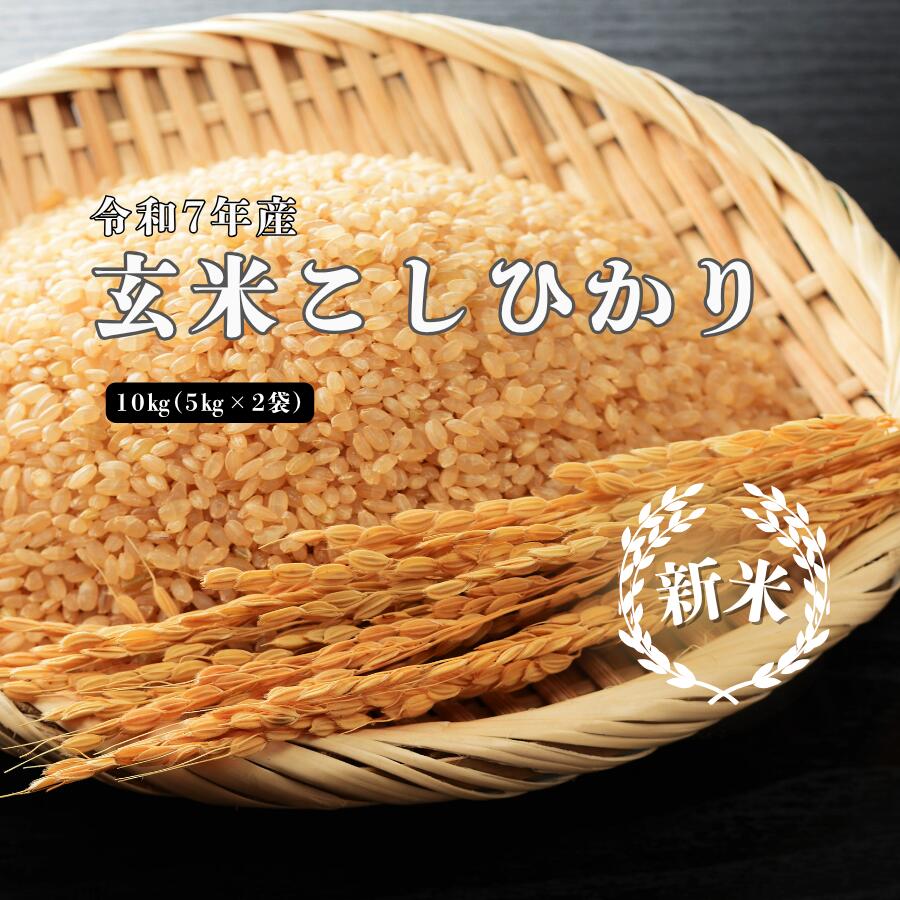 【ふるさと納税】令和7年産 しまね川本 玄米 10kg(5kg×2袋) 島根県 川本町産 玄米 藤屋 石見米